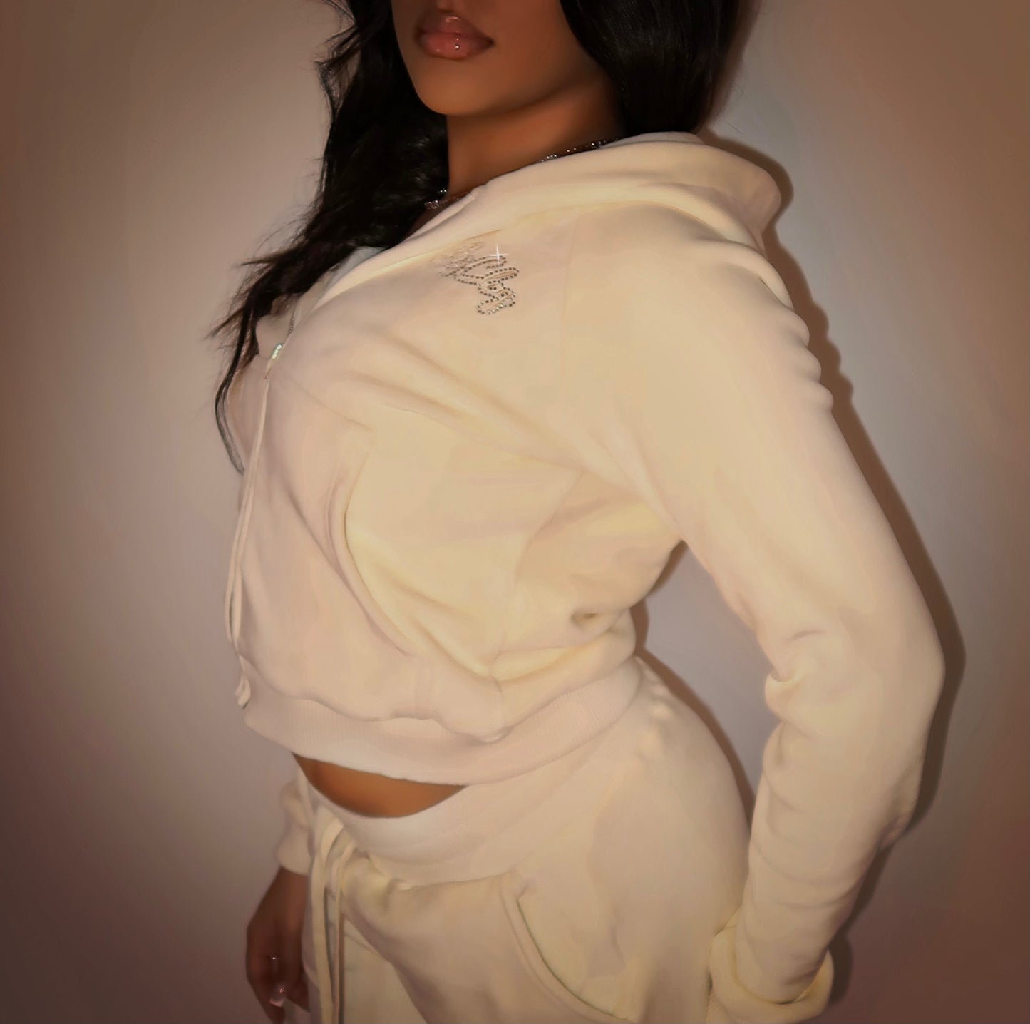 BYC VELOUR HOODIE